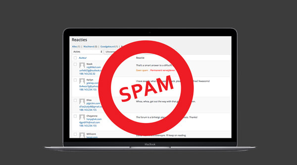 Stop WordPress Spam